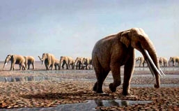 Phát hiện dấu chân hóa thạch của voi cổ đại