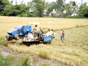 Cần tiếp tục đẩy mạnh đầu tư các công trình thiết yếu