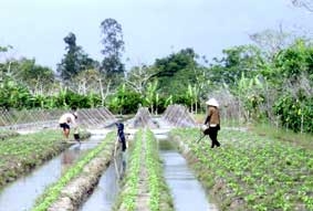 Gắn kết sản xuất và tiêu thụ