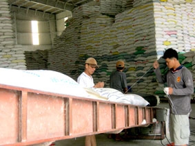 Xuất khẩu 40.900 tấn gạo