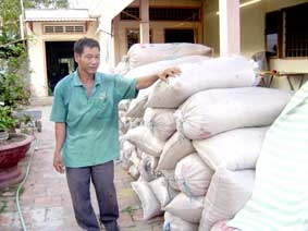 Chờ doanh nghiệp quyết tâm !