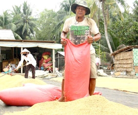 Cần sớm mua tạm trữ lúa đông xuân