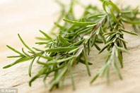 Mùi thơm của hương thảo có thể tăng cường trí não