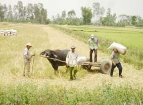 Đột phá trong quy hoạch, quản lý việc sử dụng, tích tụ đất nông nghiệp