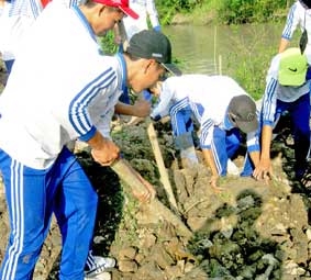 Nhiều công trình, phần việc thanh niên thiết thực