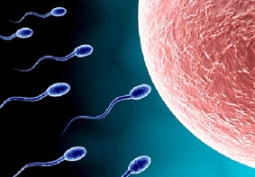 Những điều cần biết về vô sinh ở nam giới