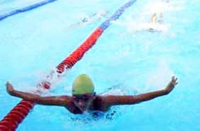 Bơi lội Cần Thơ đang ở “phong độ” cao