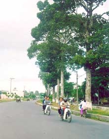 Kỳ vọng từ dự án nâng cấp đô thị