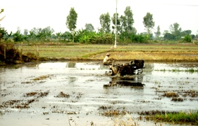 Sản xuất phải gắn với nhu cầu thị trường