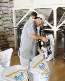 Để tránh rơi vào cảnh cũ