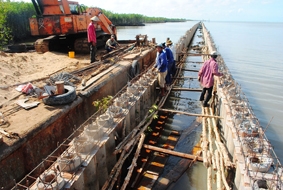 Sạt lở nghiêm trọng ở Cái Cám - Cà Mau