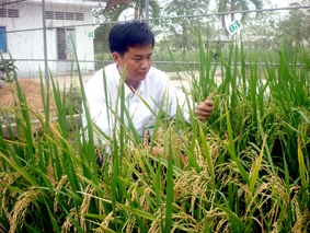 Thạc sĩ... nông dân!