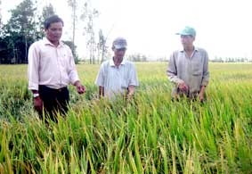 Thể hiện quyết tâm làm theo gương Bác bằng những việc làm, hành động cụ thể, thiết thực