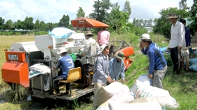 Hợp tác, liên kết để tăng sức cạnh tranh