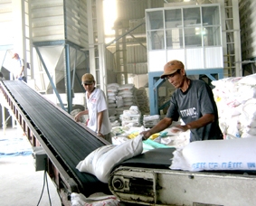 Doanh nghiệp đang cần giải cứu