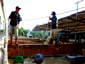 Giải pháp nào cho bảo vệ và phát triển môi trường sinh thái khu công nghiệp, khu chế xuất