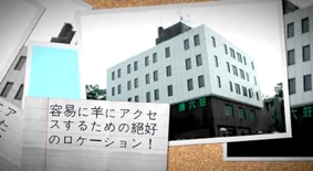 Khách sạn cho cừu