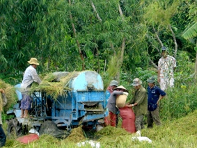 Để nhà nông tăng thêm thu nhập