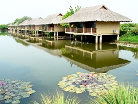 Thời cơ lớn đã đến!