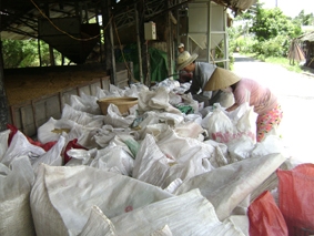 Doanh nghiệp cần tham gia tích cực