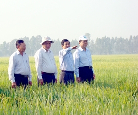 Tạo sức bật trong xây dựng xã nông thôn mới