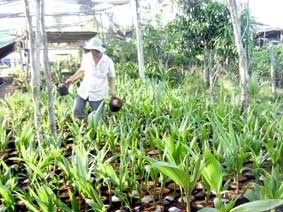 Sức mua bắt đầu tăng