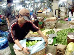 Giá chanh trái tăng cao