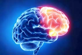 Hợp tác làm việc giúp con người thông minh hơn