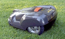 Tuyển người “trông giữ cỏ”