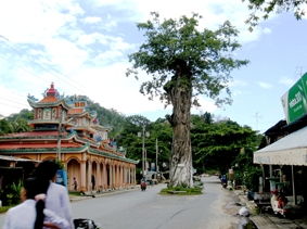 Huyền thoại về ông "Năm Thiếp" Núi Tượng