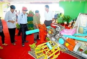 Sức bật của vùng đất chín rồng