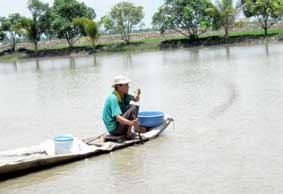 Đầu ra sẽ gặp khó ?