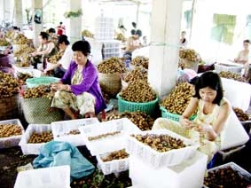 Còn những trăn trở