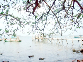 Khu kinh tế ven biển - mô hình đột phá phát triển kinh tế vùng