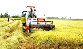 Dự án nhỏ, hiệu quả lớn