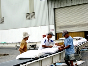 Xuất khẩu gạo đang khả quan