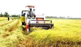 Dự án nhỏ, hiệu quả lớn