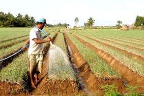 Sớm tiếp cận GFSI