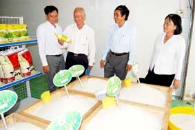 Cần sâu sát thực tế hơn