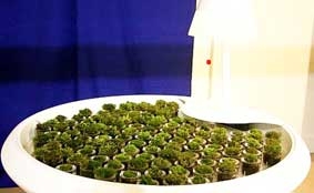 Đồ nội thất có thể cung cấp điện cho đèn bàn 
và máy tính xách tay?