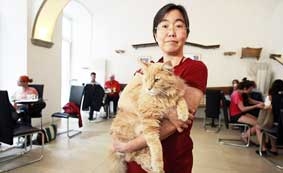 Quán cà phê “mèo”