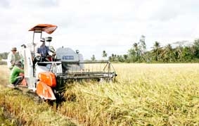 Hỗ trợ nông dân phát triển sản xuất