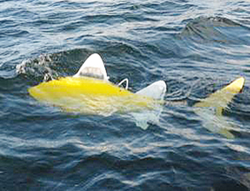 Cá robot “đánh hơi” nước
bị ô nhiễm