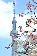 Khai trương tháp truyền hình cao nhất thế giới