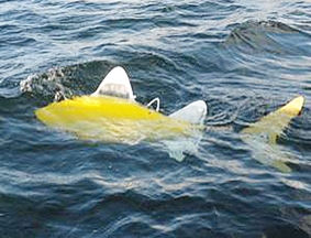 Cá robot “đánh hơi” nước 
bị ô nhiễm