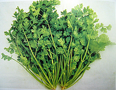 Phát hiện mới về công dụng chữa bệnh của một số thảo dược