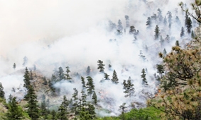 Mỹ đối phó với “giặc lửa” lan nhanh