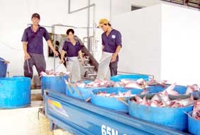 Gỡ khó từ khâu vốn