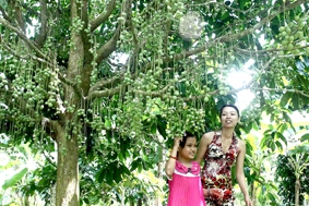 Khuyến khích nhà vườn làm du lịch sinh thái