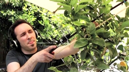 Âm nhạc từ thiên nhiên